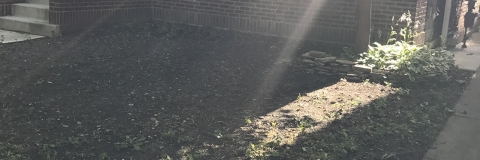 Landscape 14 -Before
